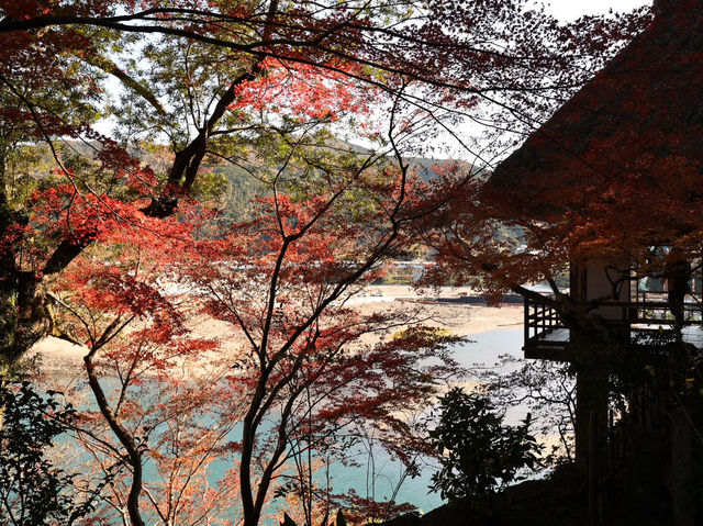 [四國] 被紅葉和銀杏包圍的臥龍山莊