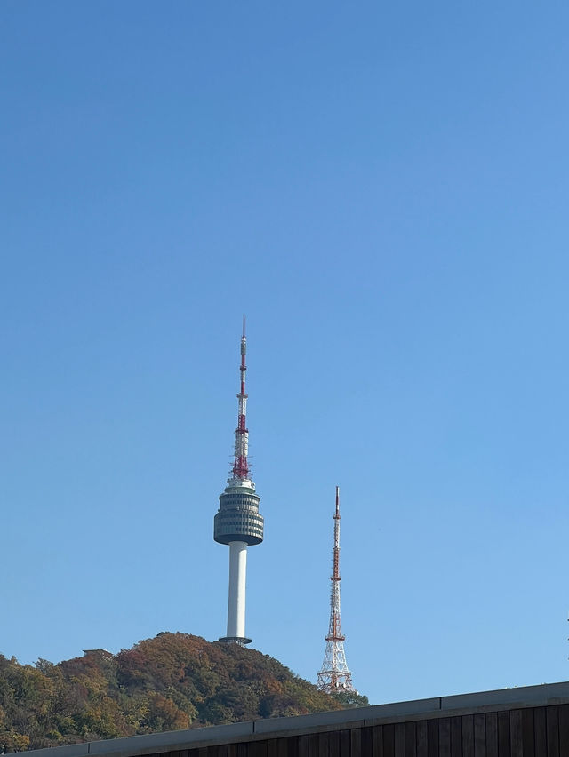 나만 알고싶은🤫자연 속 전시회장 piknic📷🖼️
