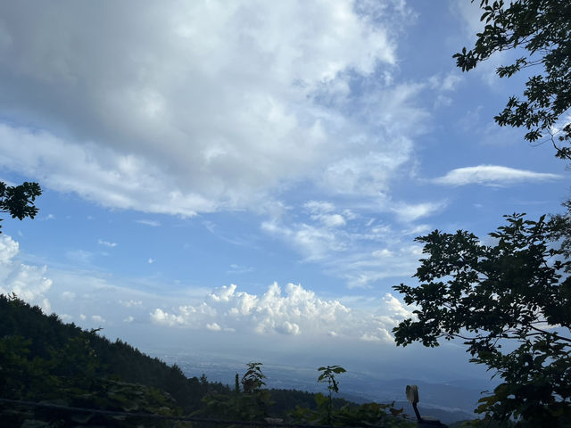 チェリーパークラインで高峰高原をドライブ@長野🛣️