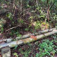 **Hiking at Bukit Kepayang: A Scenic Escape**