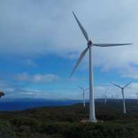 **Margaret River, Australia: A Paradise for Wine and Nature Lovers**
