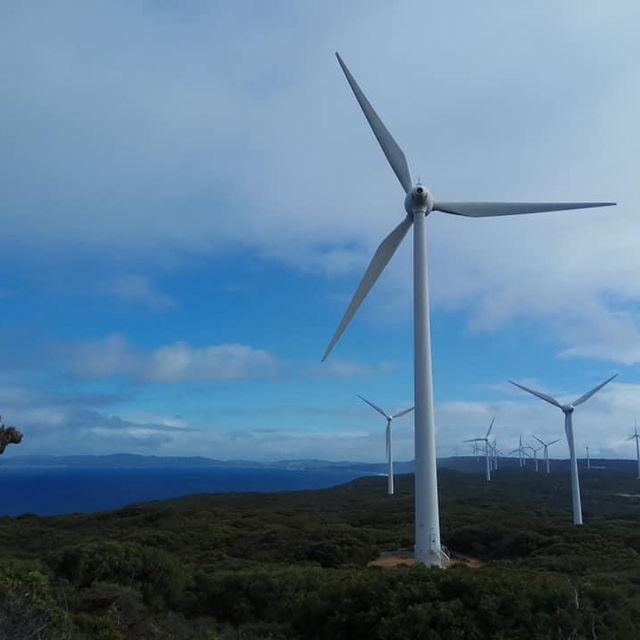 **Margaret River, Australia: A Paradise for Wine and Nature Lovers**