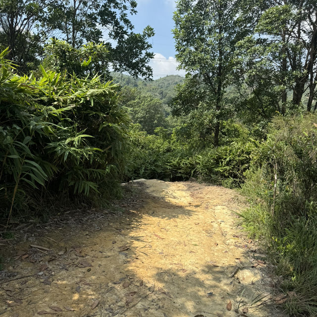大欖郊野公園·香港徒步🇭🇰·老少咸宜·Happy