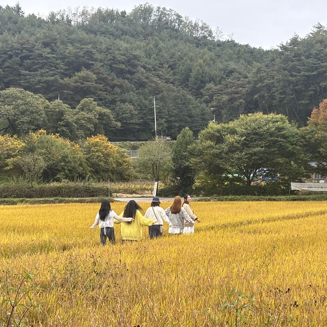 경북 봉화 가볼잔한곳 닭실마을 청암정