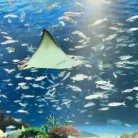 池袋陽光水族館-繁華鬧市區內的水族館，與企鵝在空中邂逅