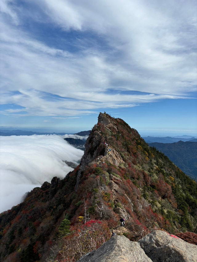 【愛媛】西日本最高峰｢石鎚山」