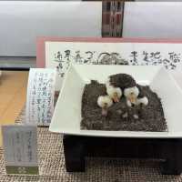 【北海道】札幌の美味しい和菓子屋さん🍡