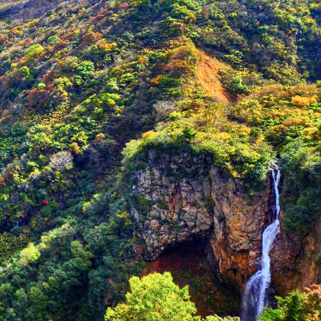 🦜華蓋山🍄‍🟫秋色自然的魔力！🍂⛰️
