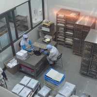 Beryl's Chocolate Factory 