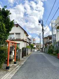 【東京都】柑橘の木が聳える神社