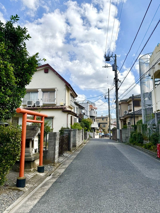 【東京都】柑橘の木が聳える神社