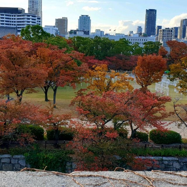 ปราสาทโอซาก้า จุดชมใบไม้เปลี่ยนสีที่สวยงาม