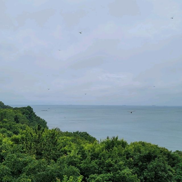 풍경도 이쁜 토브투펜션