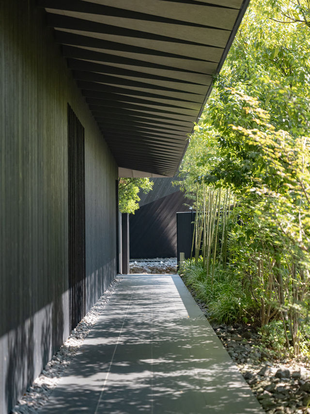 【大分】アート好きじゃなくても楽しめる🎨隈研吾氏建設のアートミュージアム🏛️ 