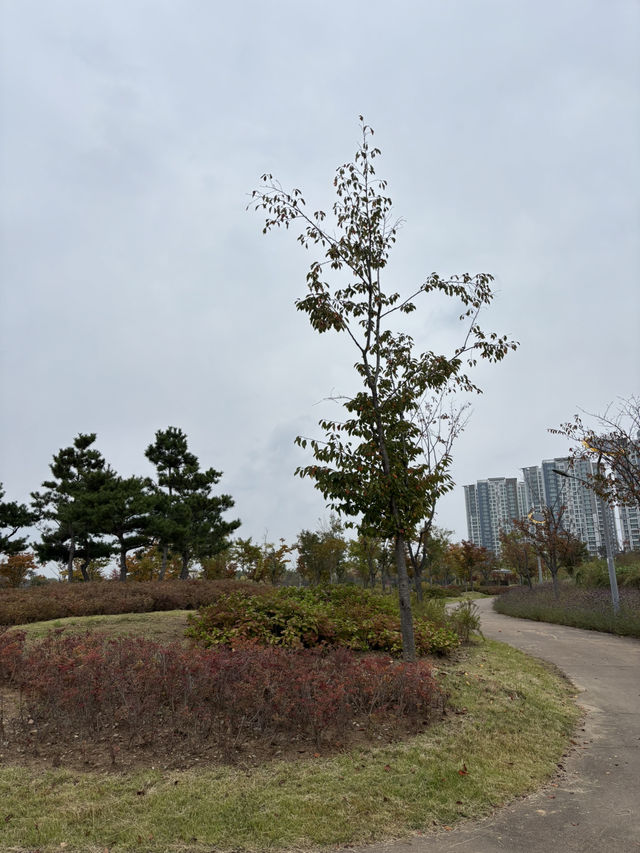 반려동물과 산책하기 좋은 청라호수공원😇