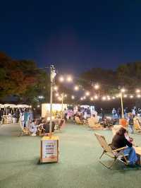 【韓国/水原】世界遺産でナイトマーケット！プロジェクションマッピングまで🏰 
