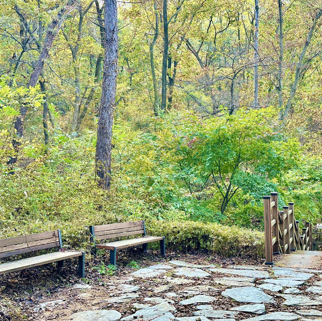 강화도 단풍 명소 여행지 마니산
