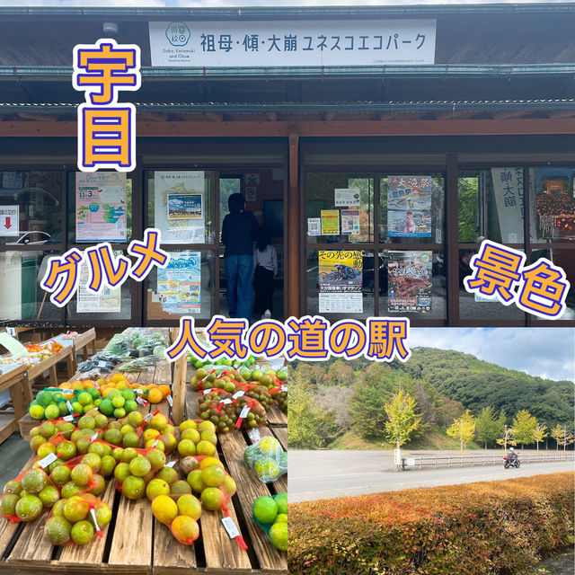 【宇目】祖母傾ユネスコエコパーク登録決定！景色抜群道の駅✨