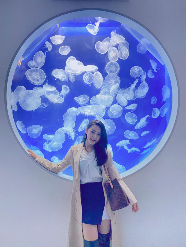 人氣No.1桃園Xpark🐳 科技結合水族館超好玩！