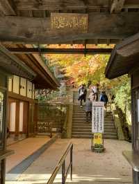 【東北×山形】東北の紅葉🍁名所  岩肌と奇石 紅葉🍁のコントラストが素晴らしい