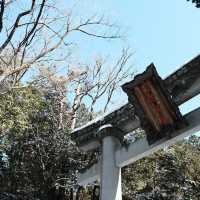 飛驒高山必去景點 - 日枝神社⛩️❄️