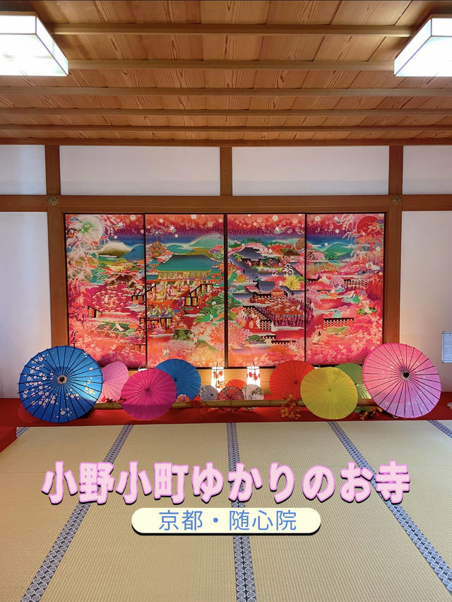 京都観光🥰🩷随心院🩷魅惑の和傘の光の祭典⛱️✨