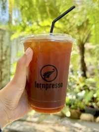 Fernpresso at Lake ค่าเฟ่เชียงใหม่สุดชิลลลล