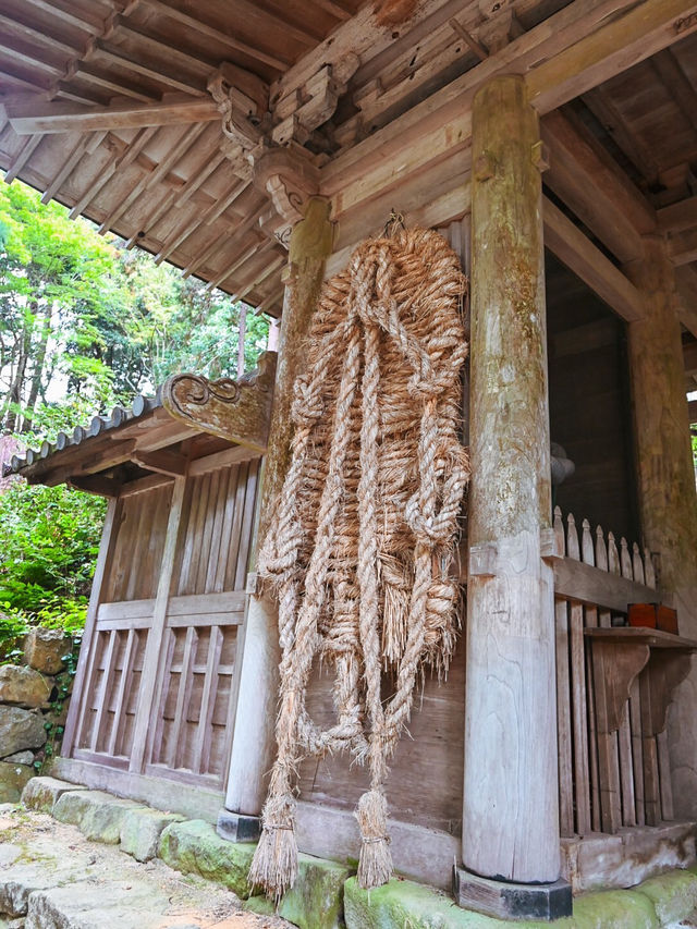 【滋賀】湖東三山最古のお寺で絶景紅葉
