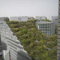 都市綠洲“ACROS山”