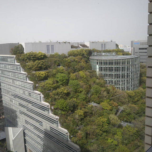 都市綠洲“ACROS山”