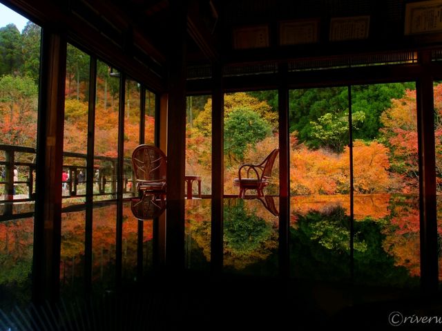 【佐賀県】息を呑む逆さ紅葉のリフレクション！環境芸術の森