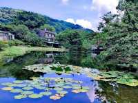 陽明山前山公園