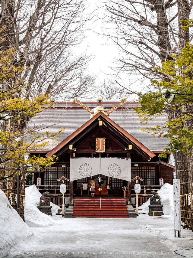 初戀❄️北海道|札幌冬日Citywalk