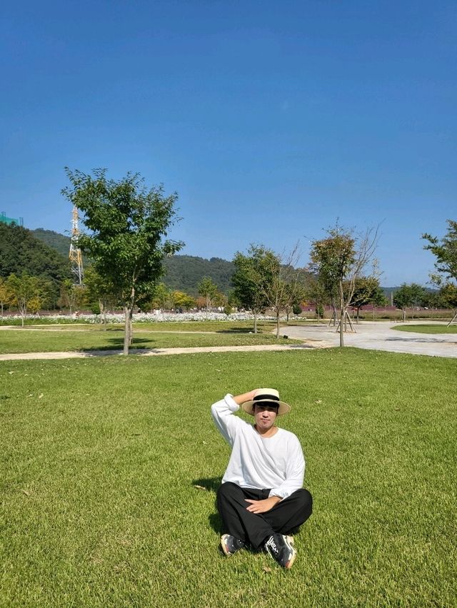 핑크뮬리와 가을꽃이 가득한 합천 여행지