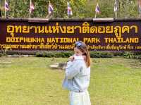 อุทยานแห่งชาติดอยภูคา