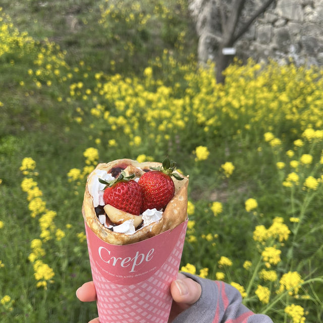 【岡山県津山市】鶴山公園の桜まつり🌸