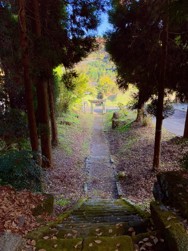 大分の有形文化財😊神秘的な下野熊埜社⛩️✨