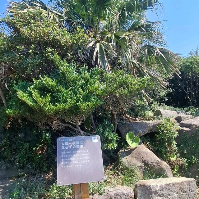 四國南端最美的足摺岬