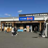 名古屋6日遊攻略