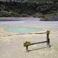 Wonders of Waiotapu: A Geothermal Adventure