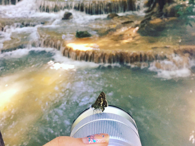 ชวนเที่ยวน้ำตกห้วยขมิ้น กาญจนบุรี 🦋🌿🌳