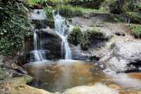 ภูหินร่องกล้า
