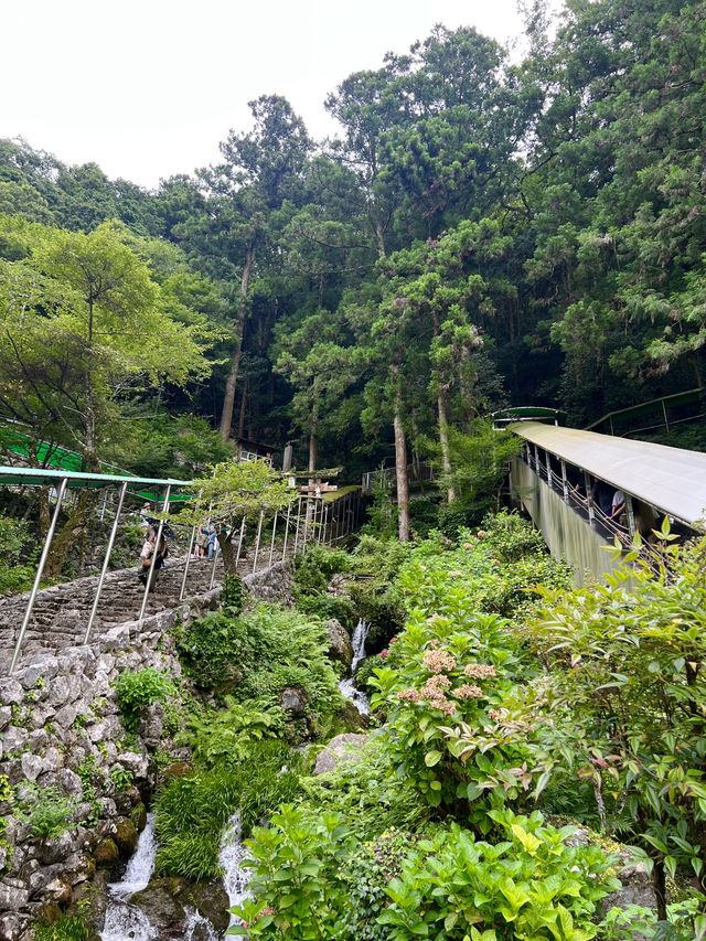【高知旅行】土佐／南国の秘境✨️自然の神秘を感じる鍾乳洞