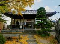 山口🇯🇵龍福寺