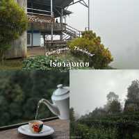 ไร่ชาลุงเดช อ.แม่แตง 🍃✨@CNX, TH