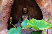 วัดสมเด็จภูเรือมิ่งเมือง