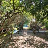 เที่ยวพักผ่อนท่ามกลางธรรมชาติ - Phuanna Eco House