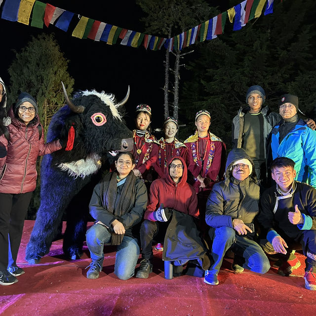 Yak Dance!