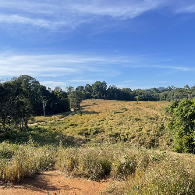 Khao Yai national park