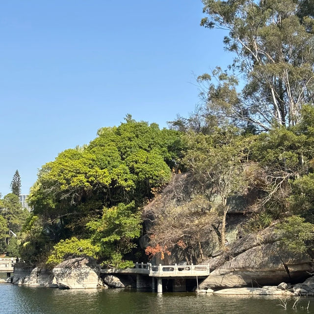 金灣金山公園：陽光下的自然☀️